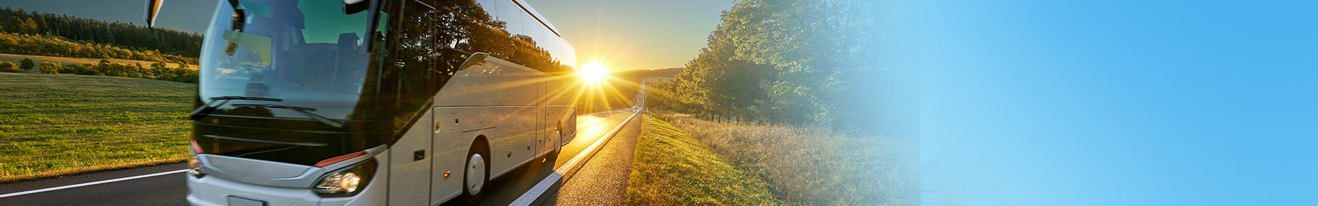 Chemia dla autobusów